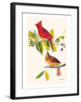 Cardinal-John James Audubon-Framed Art Print