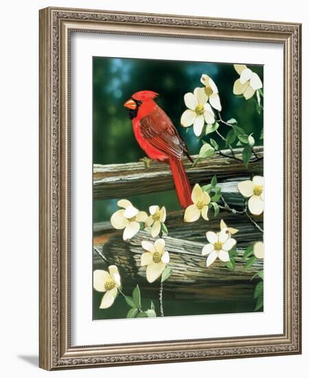 Cardinal-William Vanderdasson-Framed Giclee Print