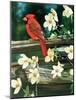 Cardinal-William Vanderdasson-Mounted Giclee Print