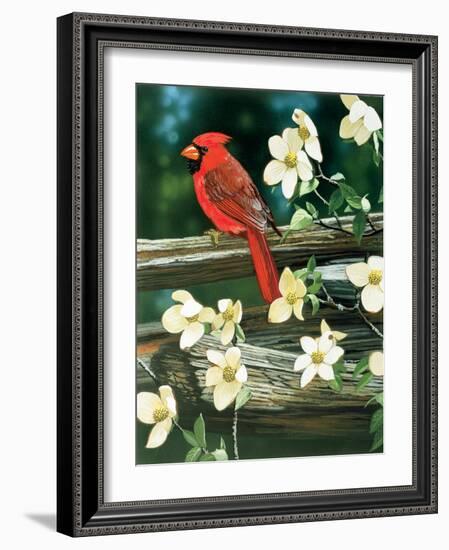 Cardinal-William Vanderdasson-Framed Giclee Print