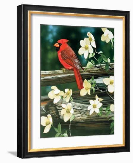 Cardinal-William Vanderdasson-Framed Giclee Print