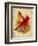 Cardinal-Kate Ward Thacker-Framed Giclee Print