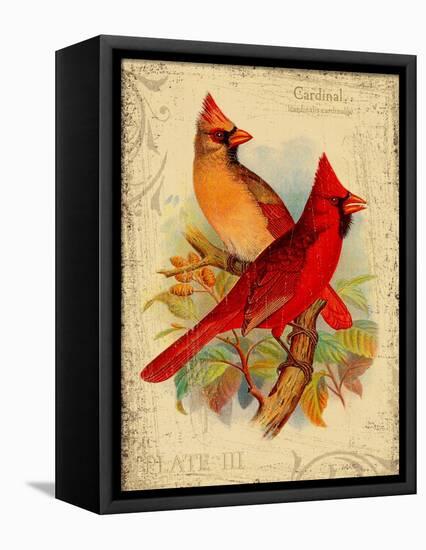 Cardinal-Kate Ward Thacker-Framed Premier Image Canvas