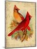 Cardinal-Kate Ward Thacker-Mounted Giclee Print