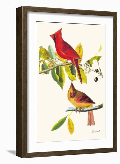 Cardinal-John James Audubon-Framed Art Print