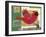 Cardinals 3-Holli Conger-Framed Giclee Print