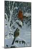 Cardinals and Brambles-Wilhelm Goebel-Mounted Giclee Print