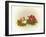 Cardinals and Holly-Peggy Harris-Framed Giclee Print