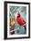 Cardinals in Winter-Lantern Press-Framed Art Print