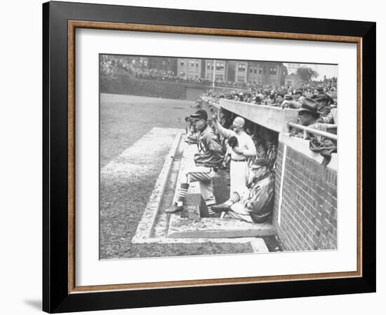 Cardinals Jeering and Waving from their Dugout to the Cubs During a Game-null-Framed Photographic Print