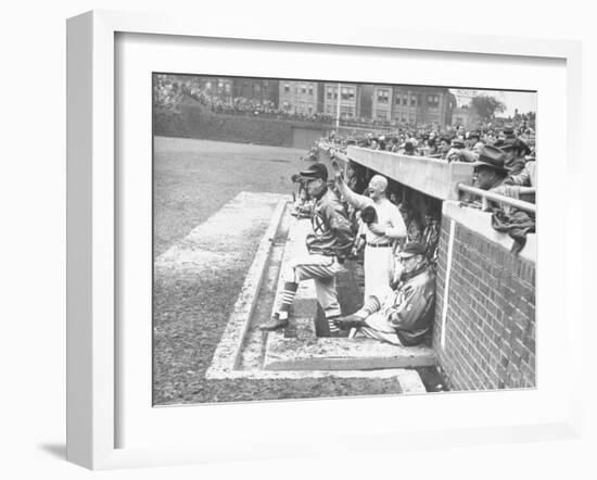 Cardinals Jeering and Waving from their Dugout to the Cubs During a Game-null-Framed Photographic Print