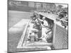 Cardinals Jeering and Waving from their Dugout to the Cubs During a Game-null-Mounted Photographic Print