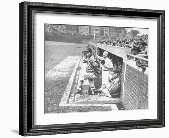 Cardinals Jeering and Waving from their Dugout to the Cubs During a Game-null-Framed Photographic Print