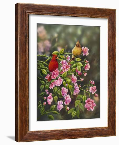 Cardinals with Roses-Sarah Davis-Framed Giclee Print