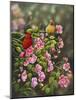 Cardinals with Roses-Sarah Davis-Mounted Giclee Print