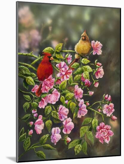 Cardinals with Roses-Sarah Davis-Mounted Giclee Print