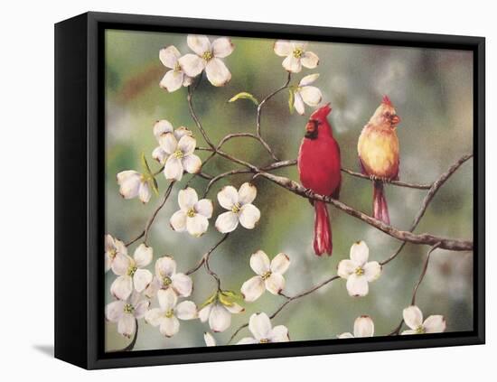 Cardinals-Sarah Davis-Framed Premier Image Canvas