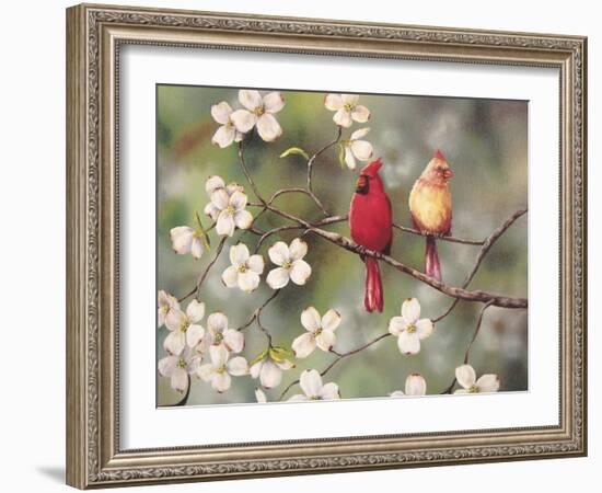 Cardinals-Sarah Davis-Framed Giclee Print