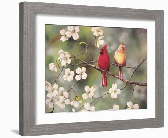 Cardinals-Sarah Davis-Framed Giclee Print