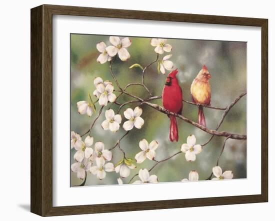 Cardinals-Sarah Davis-Framed Giclee Print