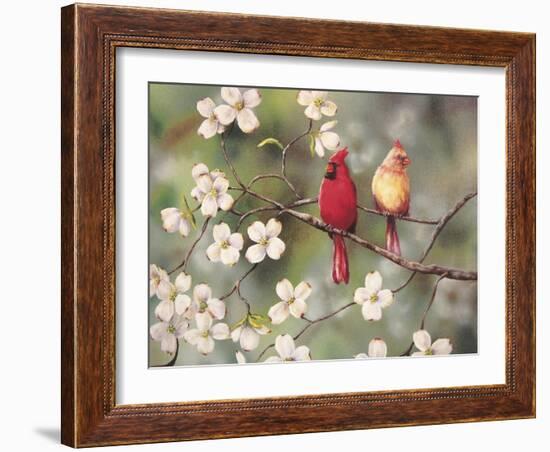 Cardinals-Sarah Davis-Framed Giclee Print