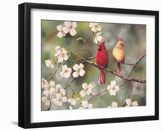 Cardinals-Sarah Davis-Framed Giclee Print