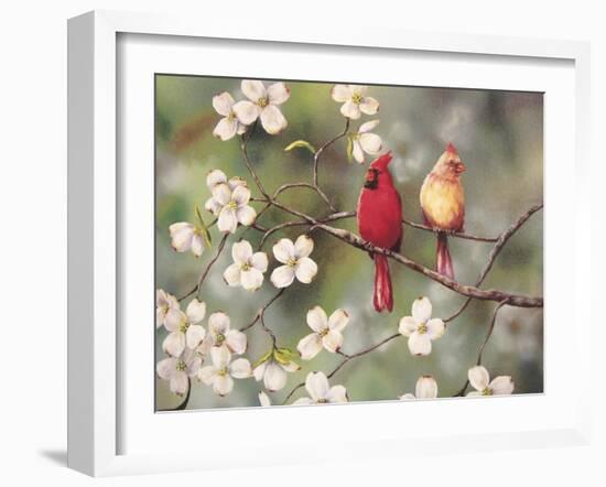 Cardinals-Sarah Davis-Framed Giclee Print