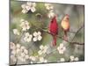 Cardinals-Sarah Davis-Mounted Giclee Print