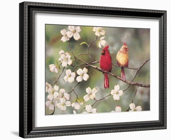 Cardinals-Sarah Davis-Framed Giclee Print