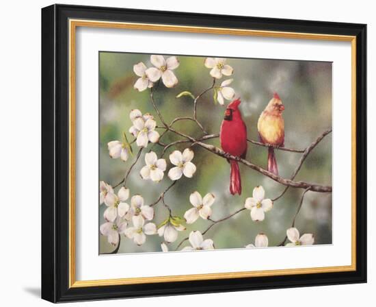 Cardinals-Sarah Davis-Framed Giclee Print