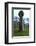 Cardinham Cross, 10th century-Unknown-Framed Photographic Print