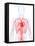 Cardiovascular System, Artwork-SCIEPRO-Framed Premier Image Canvas