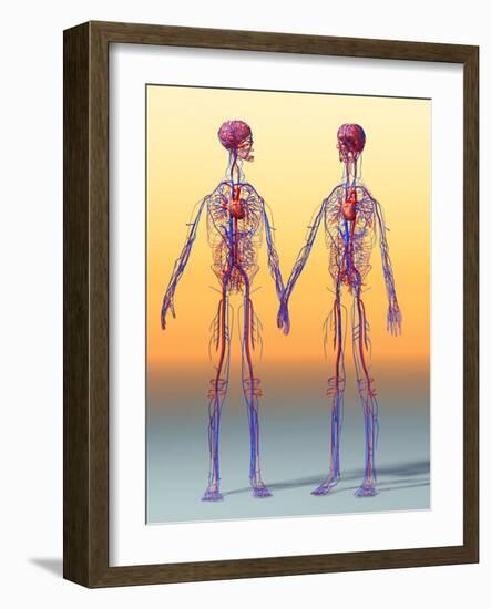 Cardiovascular System, Artwork-Roger Harris-Framed Photographic Print