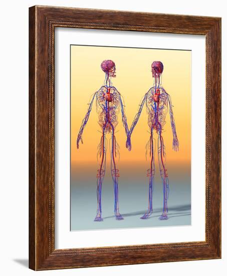 Cardiovascular System, Artwork-Roger Harris-Framed Photographic Print