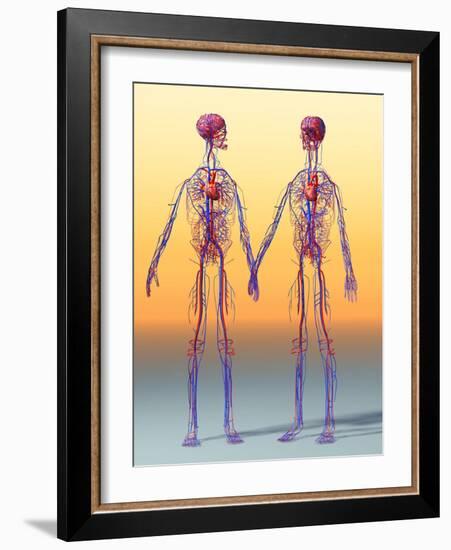 Cardiovascular System, Artwork-Roger Harris-Framed Photographic Print