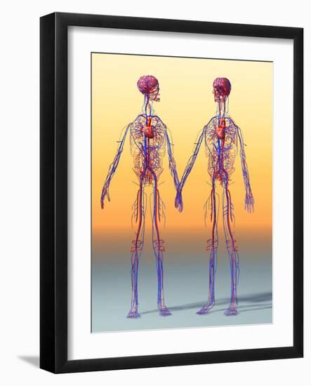Cardiovascular System, Artwork-Roger Harris-Framed Photographic Print