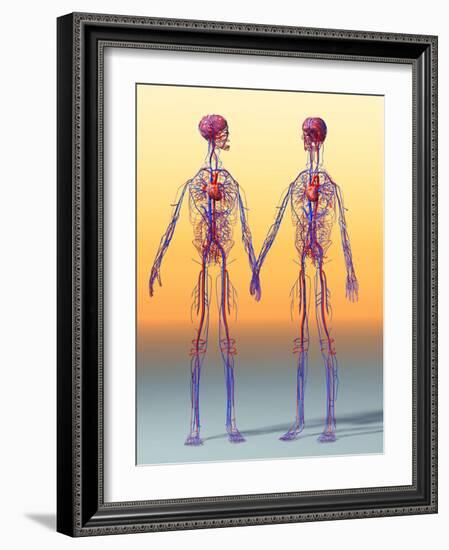 Cardiovascular System, Artwork-Roger Harris-Framed Photographic Print