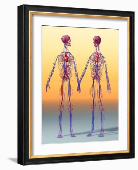 Cardiovascular System, Artwork-Roger Harris-Framed Photographic Print