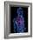 Cardiovascular System, Artwork-SCIEPRO-Framed Photographic Print