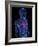 Cardiovascular System, Artwork-SCIEPRO-Framed Photographic Print