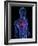 Cardiovascular System, Artwork-SCIEPRO-Framed Photographic Print