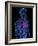 Cardiovascular System, Artwork-SCIEPRO-Framed Photographic Print