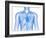 Cardiovascular System, Artwork-SCIEPRO-Framed Photographic Print