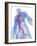 Cardiovascular System, Artwork-SCIEPRO-Framed Photographic Print