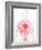 Cardiovascular System, Artwork-SCIEPRO-Framed Photographic Print