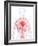 Cardiovascular System, Artwork-SCIEPRO-Framed Photographic Print