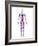 Cardiovascular System, Artwork-SCIEPRO-Framed Photographic Print