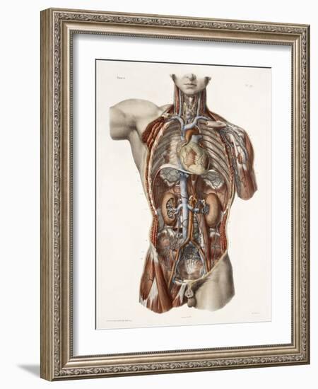 Cardiovascular System, Historical Artwork-Science Photo Library-Framed Photographic Print