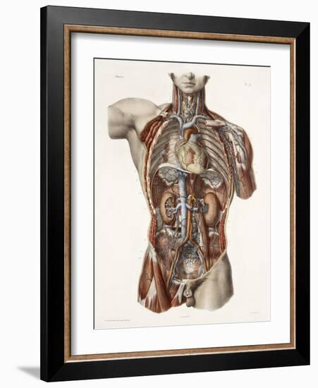 Cardiovascular System, Historical Artwork-Science Photo Library-Framed Photographic Print