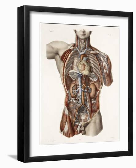 Cardiovascular System, Historical Artwork-Science Photo Library-Framed Photographic Print
